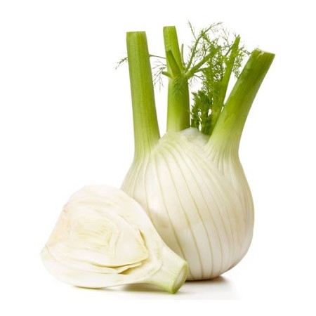 FINOCCHI SFUSI + FRESCHI